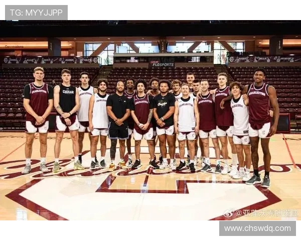 南京篮球队在锦标赛中的耐力与韧性展现全面分析与点评