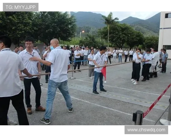 深圳乒乓球队包夹战术的成效与不足分析探讨